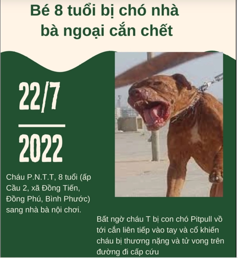 Hàng loạt vụ chó pitbull tấn công, cắn chết người kinh hoàng-3
