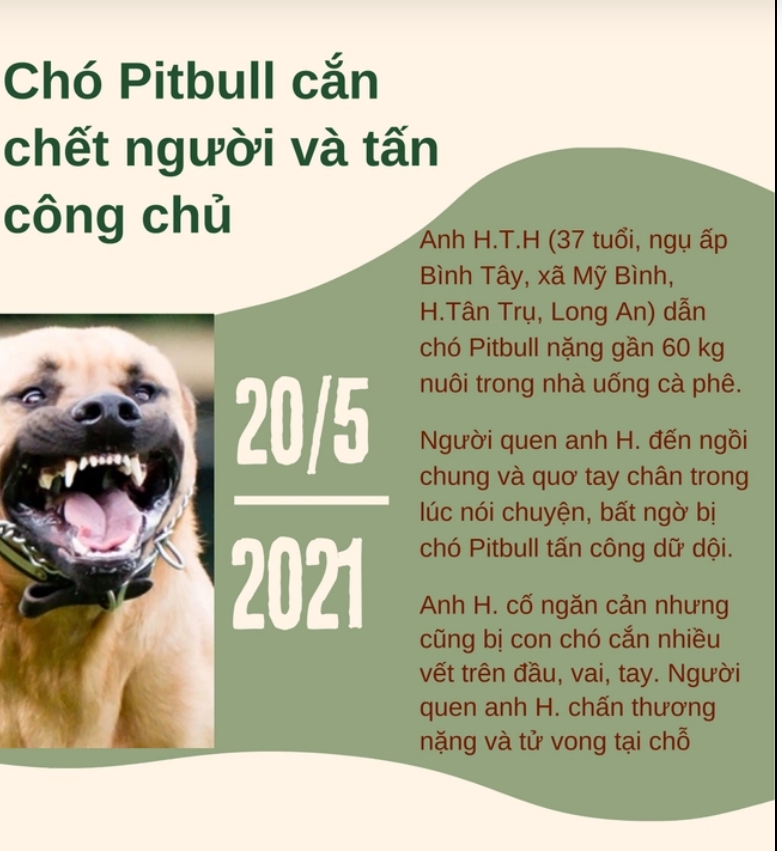 Hàng loạt vụ chó pitbull tấn công, cắn chết người kinh hoàng-4