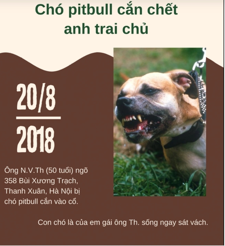 Hàng loạt vụ chó pitbull tấn công, cắn chết người kinh hoàng-5