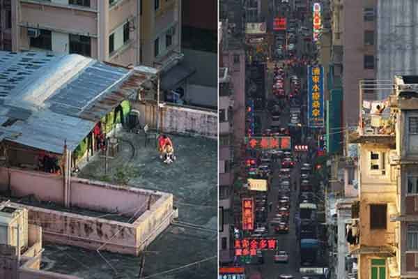 Đang xuýt xoa ngắm vườn rau trên sân thượng nhà hàng xóm, người phụ nữ tái mặt với cảnh này: Báo cảnh sát!-4