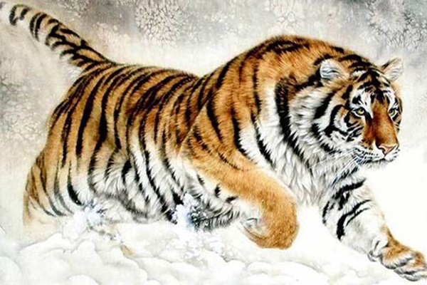 Tứ hỷ gõ cửa liên hồi: 4 tuổi này chuẩn bị tháng 9 lộc vào cửa, tháng 10 bội thu cả Tình lẫn Tiền-2