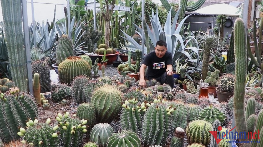 Sở hữu vườn xương rồng ngoại tiền tỷ, chủ nhân chỉ thích để ngắm chơi-3