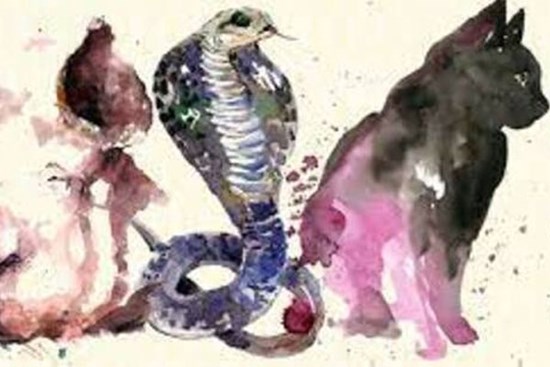 Tử vi tuần mới từ 5-11/9/2022 của 12 con giáp: Tỵ có tin vui tài chính, Hợi tràn đầy năng lượng