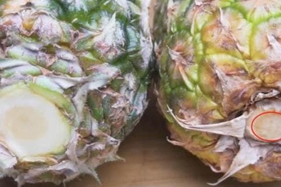 Dứa có ngọt hay không, bạn có thể nhìn lướt qua ở đây, phương pháp này của người nông dân trồng trái cây thực sự rất hiệu quả