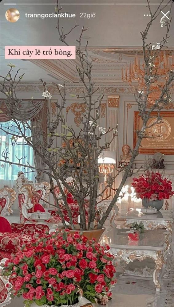 Làm dâu nhà hào môn, Lan Khuê sống trong biệt thự lộng lẫy, view đắt giá nhìn thẳng ra sông Sài Gòn, sân rộng đủ đỗ chục chiếc ô tô-1