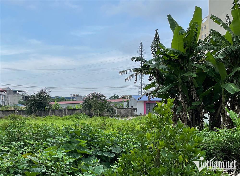 Có 200 triệu rủ đồng nghiệp mua đất, 10 năm mất trắng-1