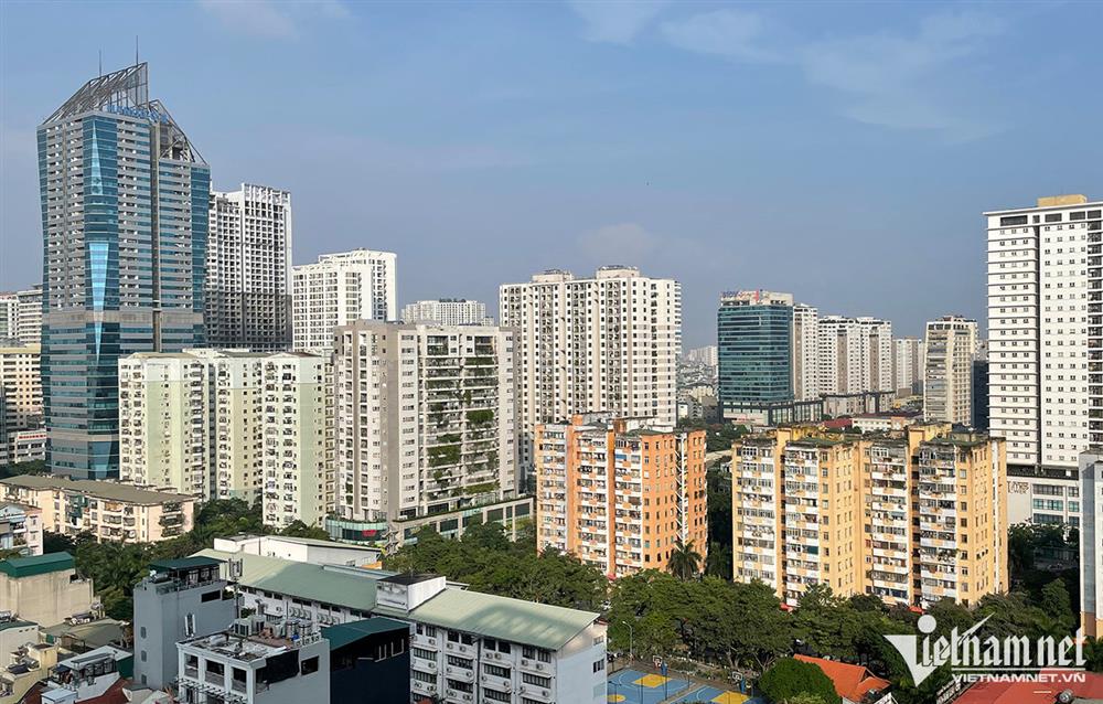 Có 200 triệu rủ đồng nghiệp mua đất, 10 năm mất trắng-2