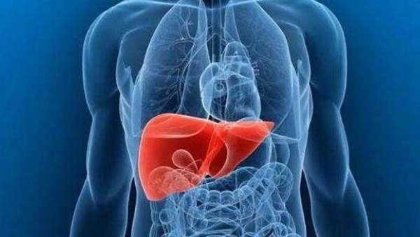 6 thực phẩm là bảo bối dưỡng gan, giúp lọc sạch và bồi bổ cho gan-1