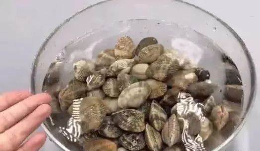 Ngâm ngao theo mẹo này, chỉ 20 phút là cát bẩn đến đâu cũng đều trôi hết ra ngoài-1