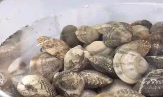 Ngâm ngao theo mẹo này, chỉ 20 phút là cát bẩn đến đâu cũng đều trôi hết ra ngoài-2