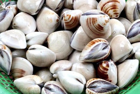 Ngâm ngao theo mẹo này, chỉ 20 phút là cát bẩn đến đâu cũng đều trôi hết ra ngoài