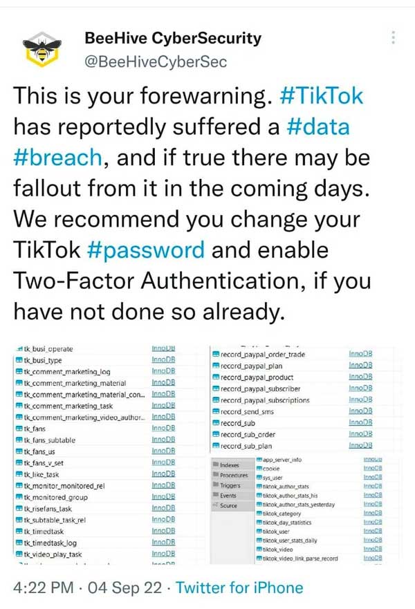 Nghi vấn TikTok rò rỉ dữ liệu của hơn một tỷ người dùng-1