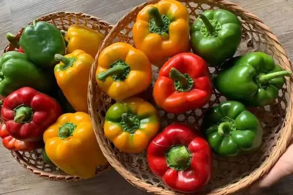 5 loại thực phẩm chống viêm tốt, nên ăn mỗi ngày để tăng cường đề kháng và sống thọ hơn-2