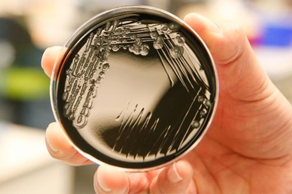 Bệnh nhân tử vong vì người nhà rút điện máy thở để... cắm điều hòa-2