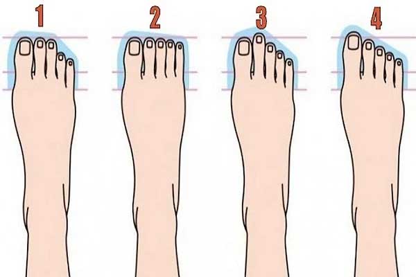 Thầy tướng số chỉ rõ: Nhìn chiều dài ngón chân biết tương lai bạn vượng tài giàu có hay nghèo hèn mạt kiếp?-2