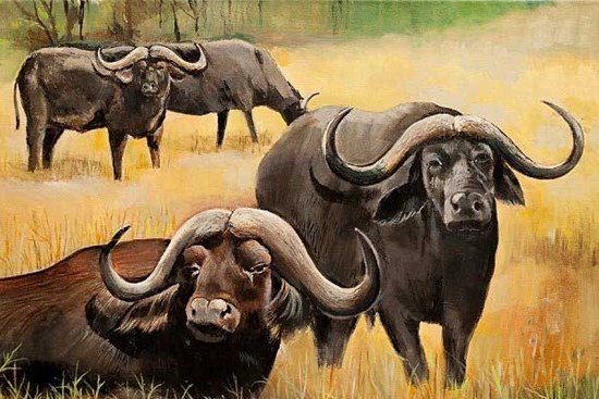 Ý trời đã định: 3 con giáp tiền nhiều như nước trong 4 tháng cuối năm 2022, Tết 2023 thịnh vượng đủ đầy