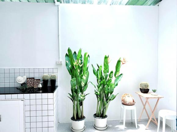 Cải tạo nhà phố cũ thành không gian xinh sang chẳng kém trời Âu, hợp phong cách với những ai thích nhẹ nhàng, tối giản-15