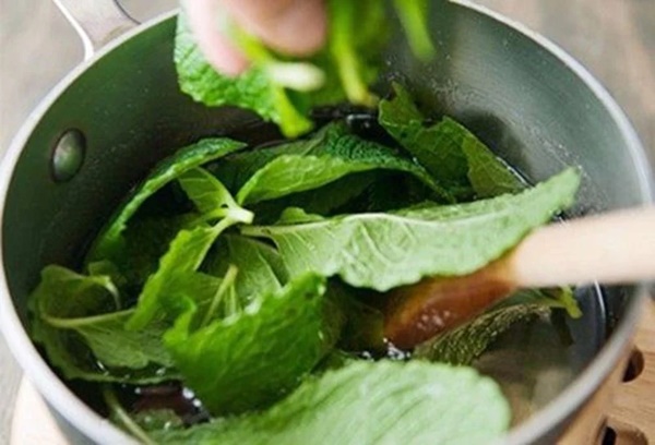 Top 5 cách diệt chuột không nguy hại cho người, dễ làm, không tốn kém-1