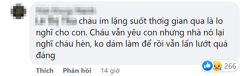 Chuyện thật như đùa: 4 năm bị lừa” nuôi con người khác và màn phân chia 4 tỷ tài sản không thể ngờ-3