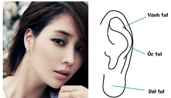 Chọn vợ cứ 1 cong, 2 to” mà lấy: Số mệnh phú quý là phúc tinh” mang lại giàu sang, may mắn cho chồng-2