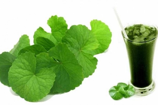 Thứ rau dại được ví như ‘sâm xanh’ giúp dưỡng gan thận cực tốt, nhưng không phải ai cũng dùng được-2