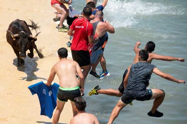 Tây Ban Nha dậy sóng vì nhiều người chết ở lễ hội chạy đua với bò-3