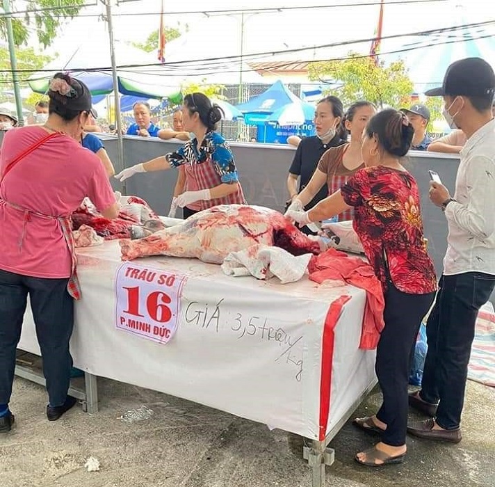 Điều ít biết về loại thịt trâu đắt nhất Việt Nam, một cân thịt bằng cả chỉ vàng-1