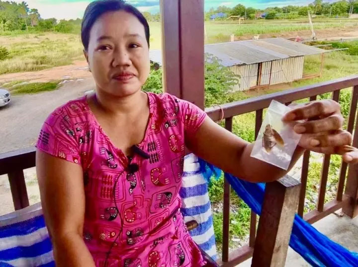 Người phụ nữ phải nhập viện cấp cứu vì bị gián cắn lúc đang ngủ-2