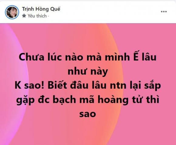 Đang ế, Hồng Quế nói gì khi được khuyên nên đi kiếm Shark?-3