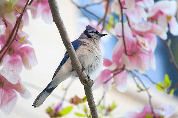 Thầy tử vi chỉ rõ: Nhìn độ dài ngón trỏ biết tương lai bạn phúc phận sâu dày, giàu sang hay nghèo mãn kiếp?-4