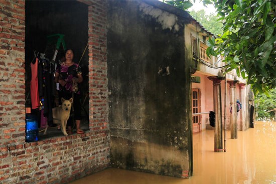 Dân ngoại thành Hà Nội chỉ còn cách nhìn của cải chìm trong làn nước lũ