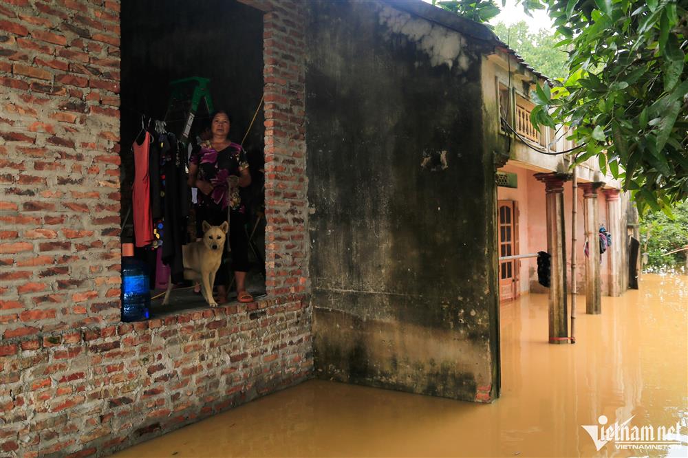 Dân ngoại thành Hà Nội chỉ còn cách nhìn của cải chìm trong làn nước lũ-8