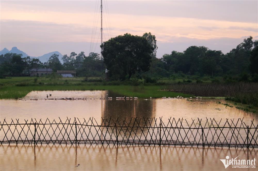 Trẻ em ngoại thành Hà Nội chơi đùa trong làn nước lũ-10
