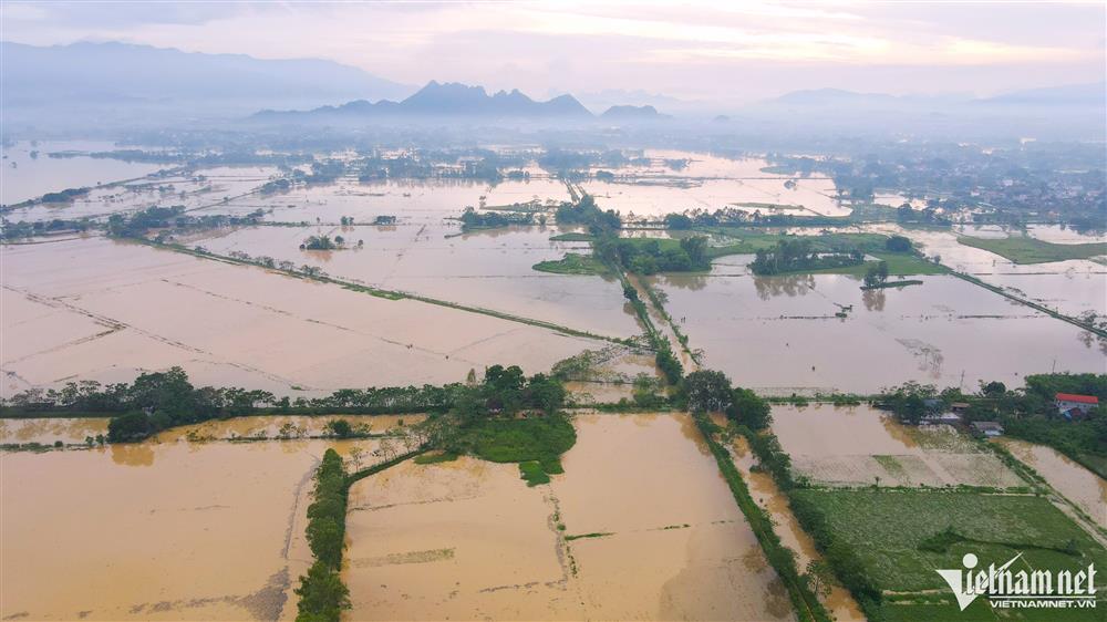 Trẻ em ngoại thành Hà Nội chơi đùa trong làn nước lũ-11