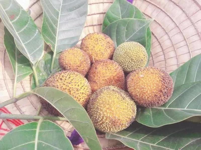 Loại quả đặc sản chỉ có ở Ninh Bình hoặc miền Tây, giá 120.000/kg mà luôn cháy hàng-1