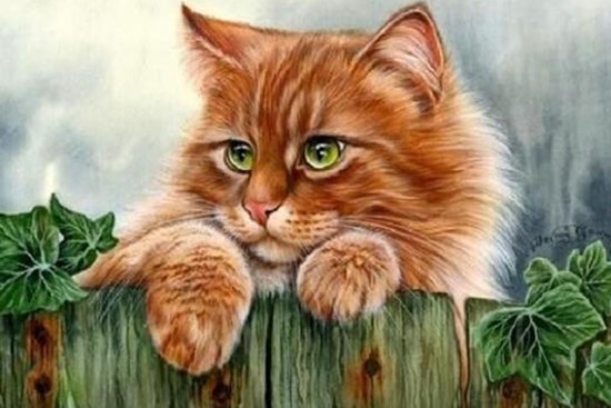 4 con giáp nữ sinh ra đều được 'Kiếp Tài' may mắn vượng phu ích tử