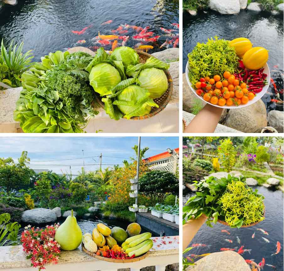 Thoả đam mê với 720m2 đất vườn chồng tặng-8