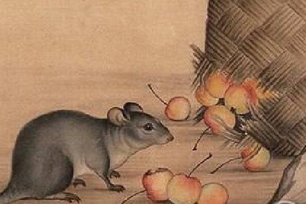 Tuần mới (12-18/9): 2 con giáp đổi vận thành đại gia, 1 con giáp xui xẻo khó tránh-4