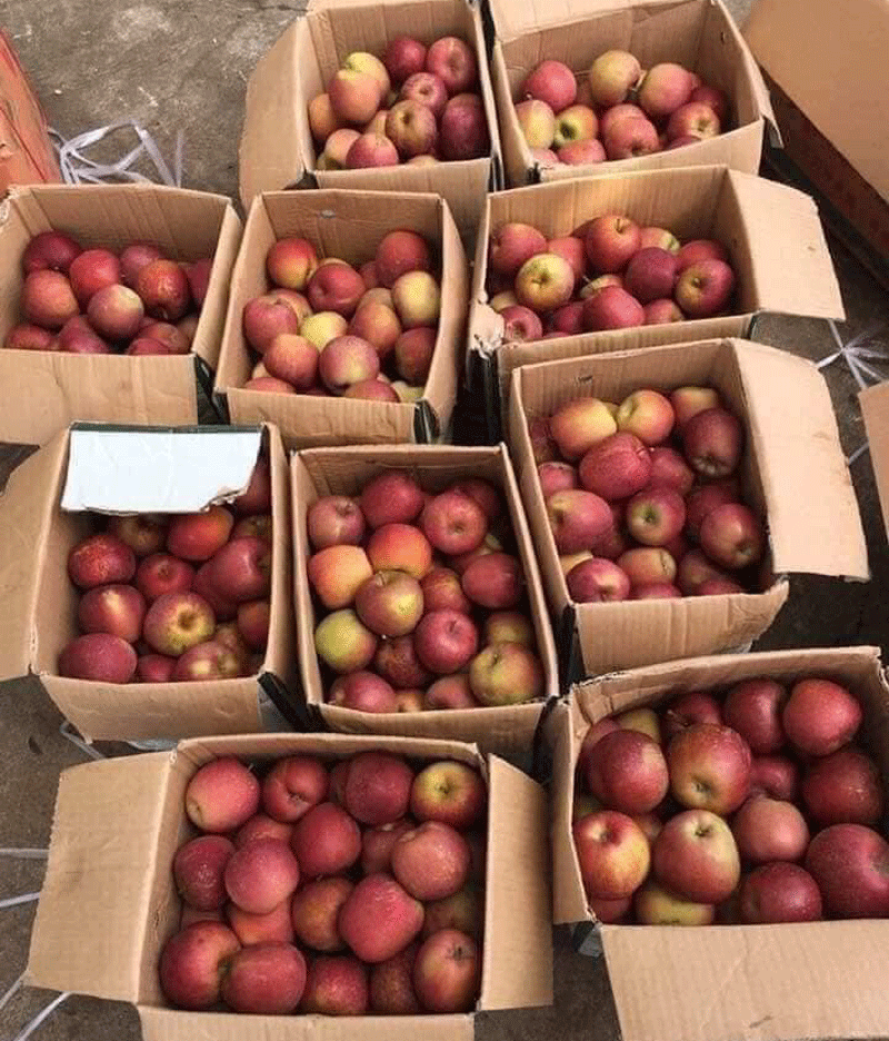 Táo đá Trung Quốc giá siêu rẻ ‘làm mưa làm gió’ tại chợ-1
