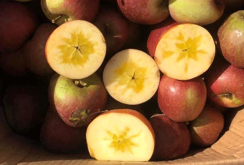 Táo đá Trung Quốc giá siêu rẻ ‘làm mưa làm gió’ tại chợ-2