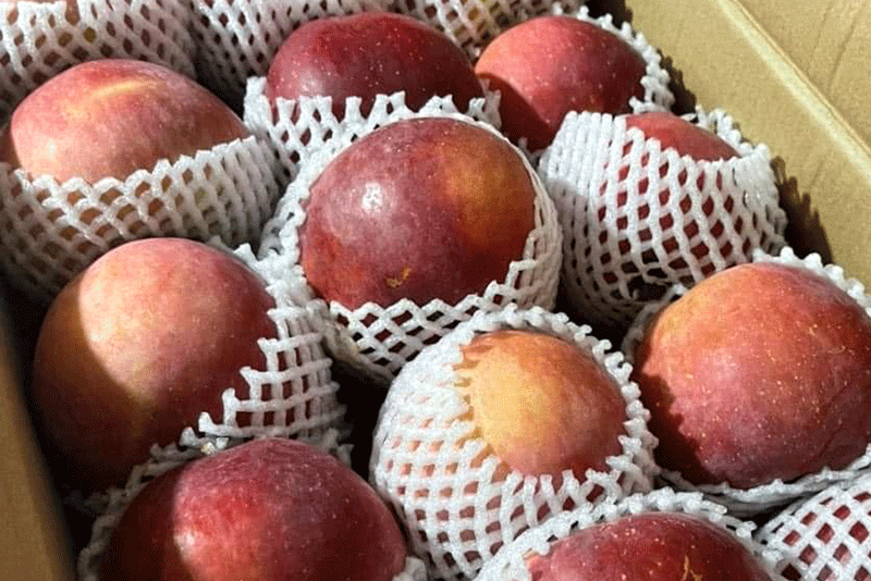 Táo đá Trung Quốc giá siêu rẻ ‘làm mưa làm gió’ tại chợ-3