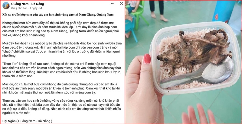 Thực hư chuyện học sinh chỉ ăn cơm trắng với thịt chuột ở Quảng Nam?-1