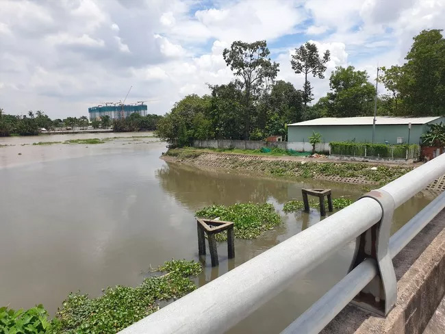 TP.HCM: Phát hiện 2 thi thể trôi nổi trên sông Sài Gòn-1