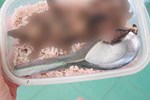 Xác minh được người đăng bức ảnh học sinh mang cơm với thịt chuột-2