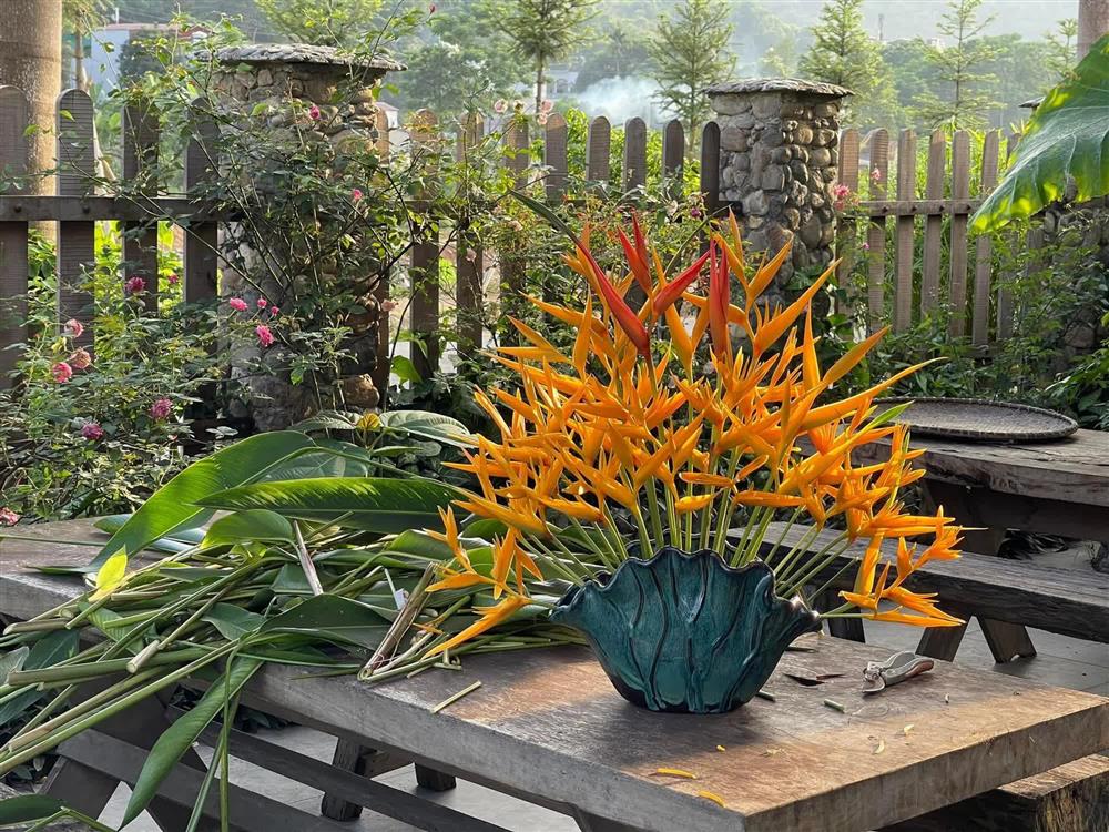 Khu vườn 300m² ngập tràn rau củ quả và hoa tươi của mẹ đảm ở Hà Giang-7