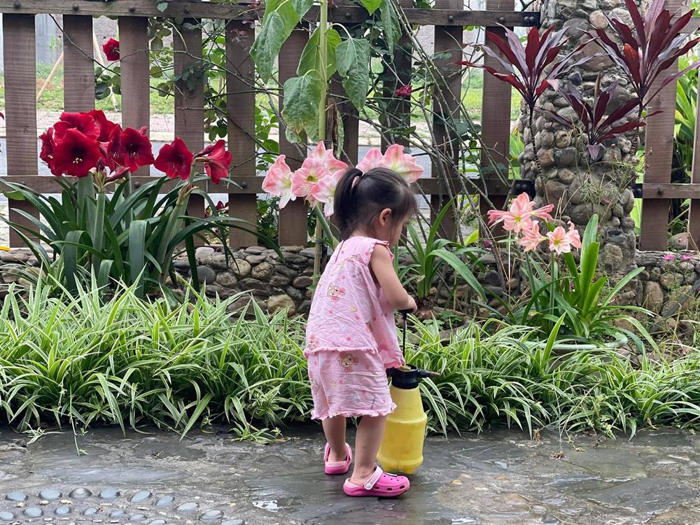 Khu vườn 300m² ngập tràn rau củ quả và hoa tươi của mẹ đảm ở Hà Giang-25