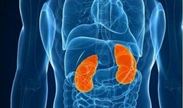 Những thói quen hại thận dễ mắc phải của đàn ông và các biện pháp cực kỳ đơn giản để tăng đề kháng cho thận-1