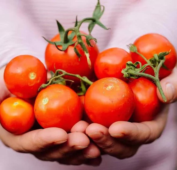3 điều cấm kỵ khi ăn cà chua gây nhiều bệnh tật-1