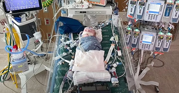 Bệnh nhân đầu tiên trên thế giới được ghép tim từ mô sống-1