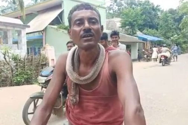 Người đàn ông bị rắn hổ mang cắn và làm một điều mà dân mạng phải ‘mắt tròn mắt dẹt’-1